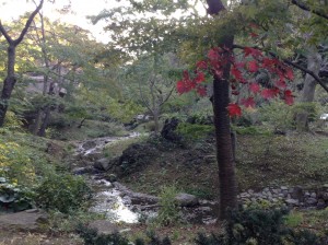 sometimes you can find murmur of brook and colored leaves...