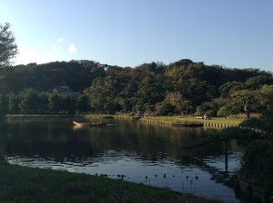 Quiet and confortable place...Japanese Garden