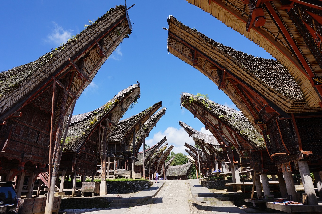 秘境タナ トラジャ紀行 I S Travel Diary
