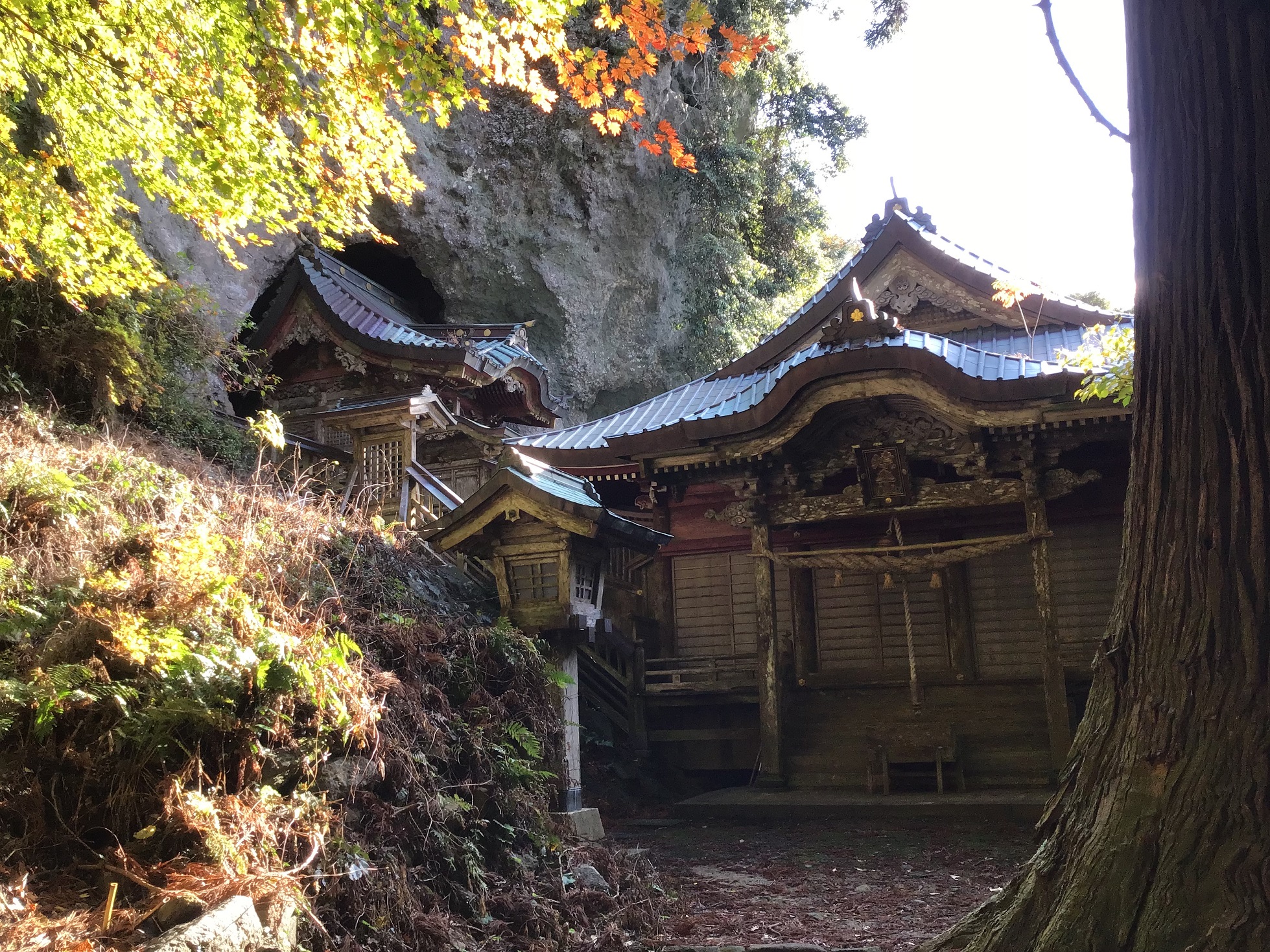 山陰ツアー・隠岐島の巻 vol.3/最終回 – i's Travel Diary